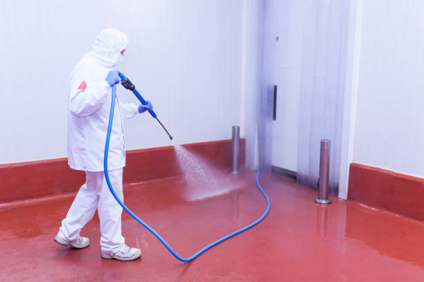Best Restaurant Pressure Washing  in Huntsville, TX
